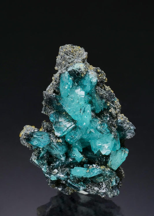 CC57608 specimen image