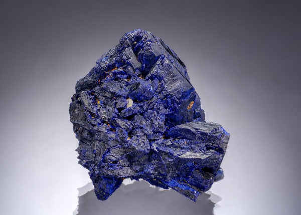 CC57624 specimen image