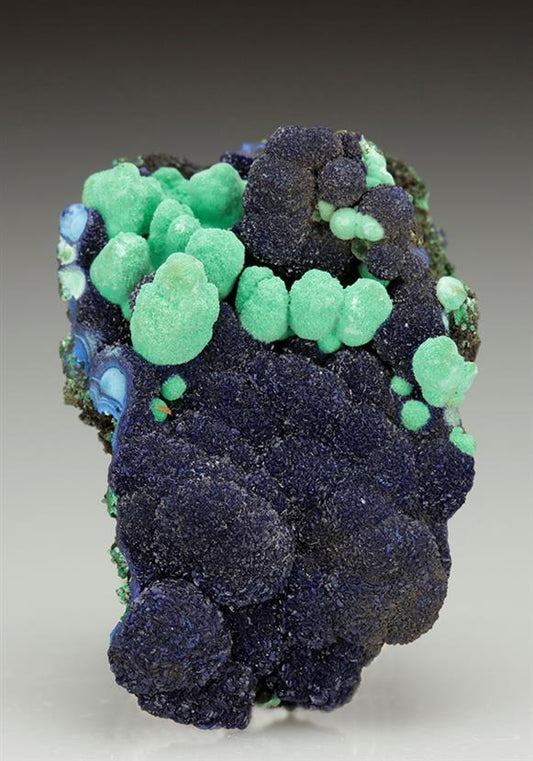 CC5764 specimen image