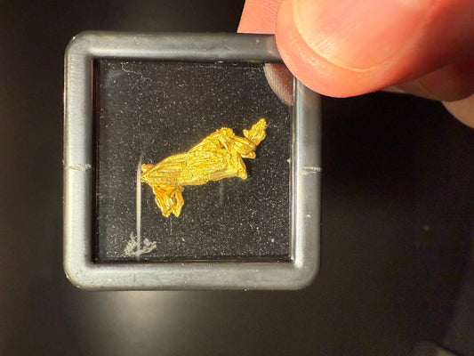 CC58034 specimen image