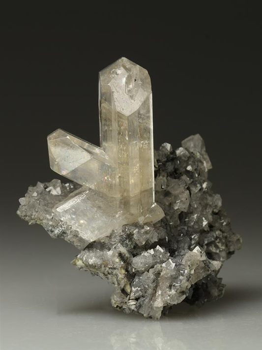 CC5806 specimen image