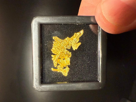 CC58062 specimen image