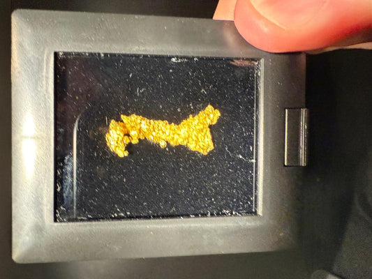CC58116 specimen image