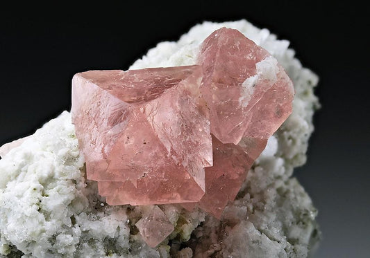 CC5819 specimen image