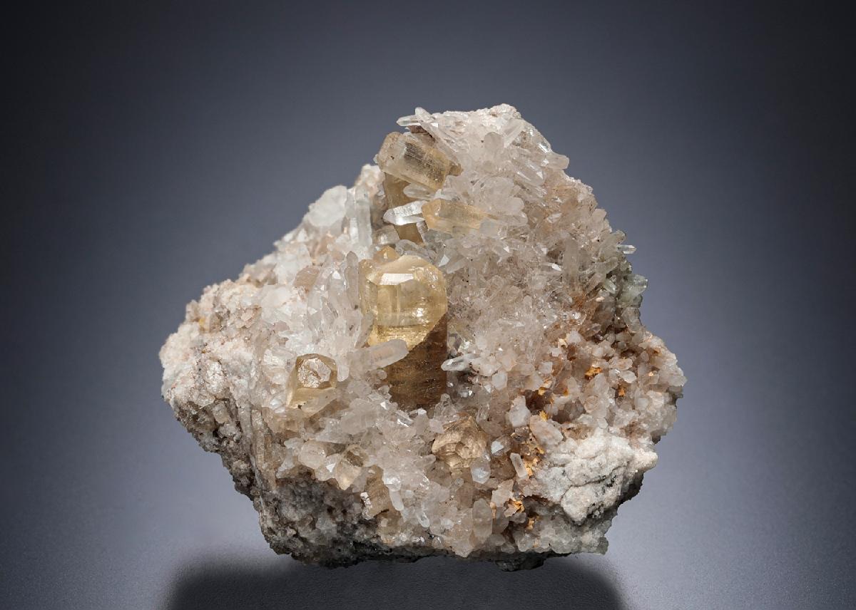 CC5825 specimen image