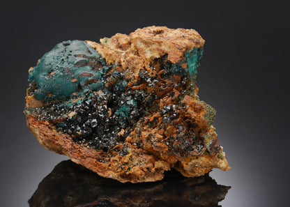 CC5828 specimen image