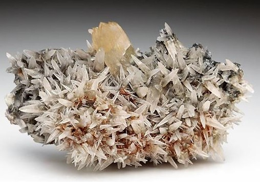 CC5864 specimen image