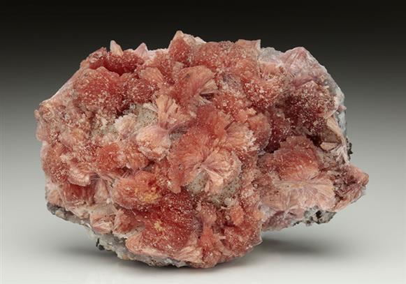 CC5866 specimen image