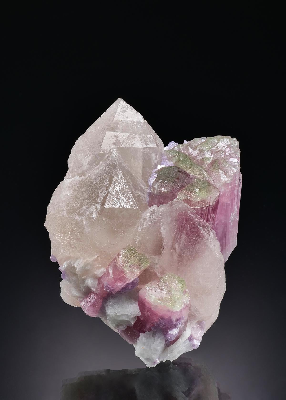 CC58705 specimen image