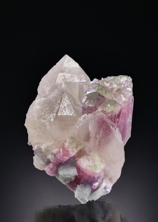 CC58705 specimen image