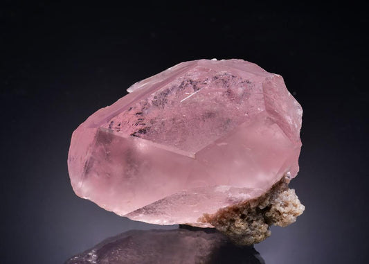 CC58821 specimen image