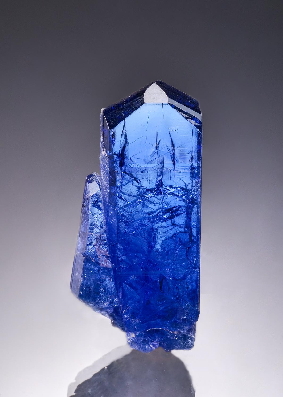 CC58827 specimen image