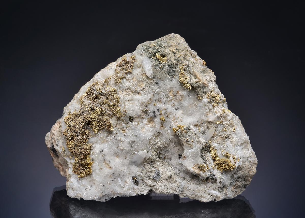 CC58834 specimen image