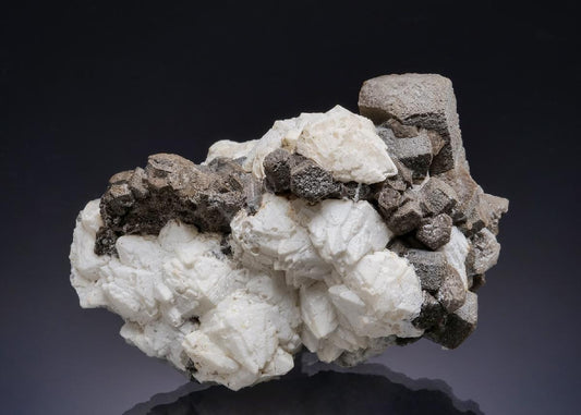 CC58846 specimen image