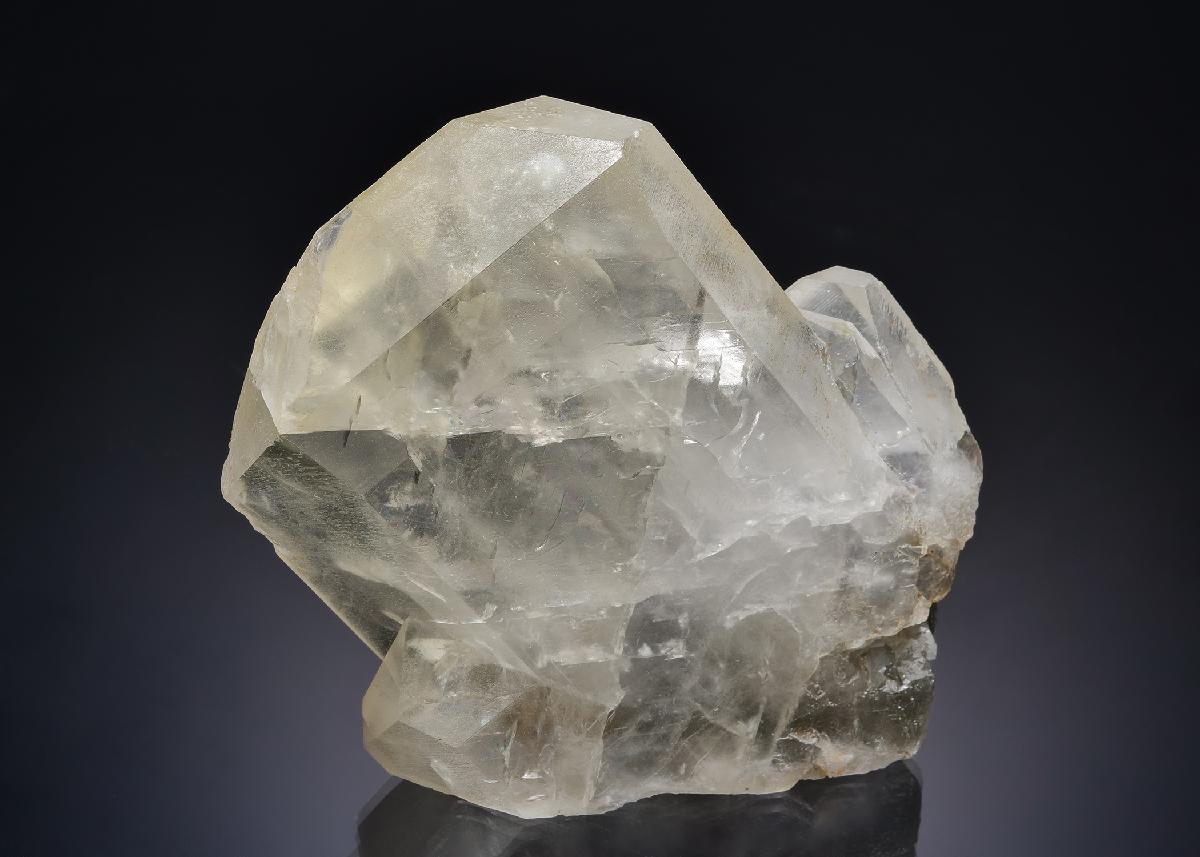 CC58850 specimen image