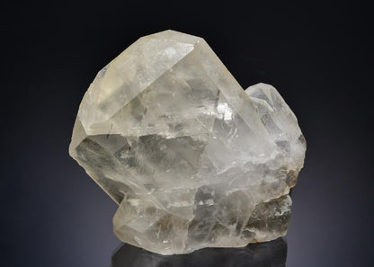 CC58850 specimen image