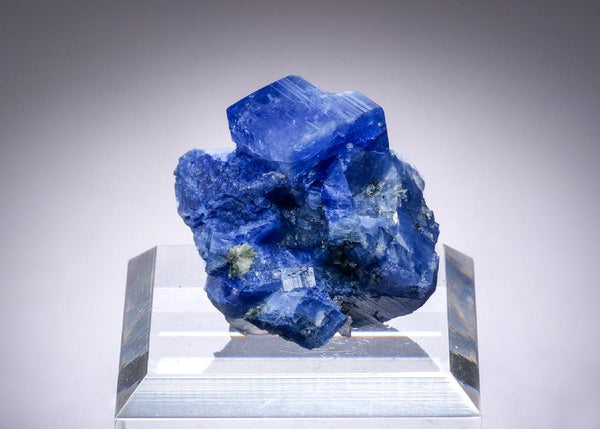 CC58868 specimen image