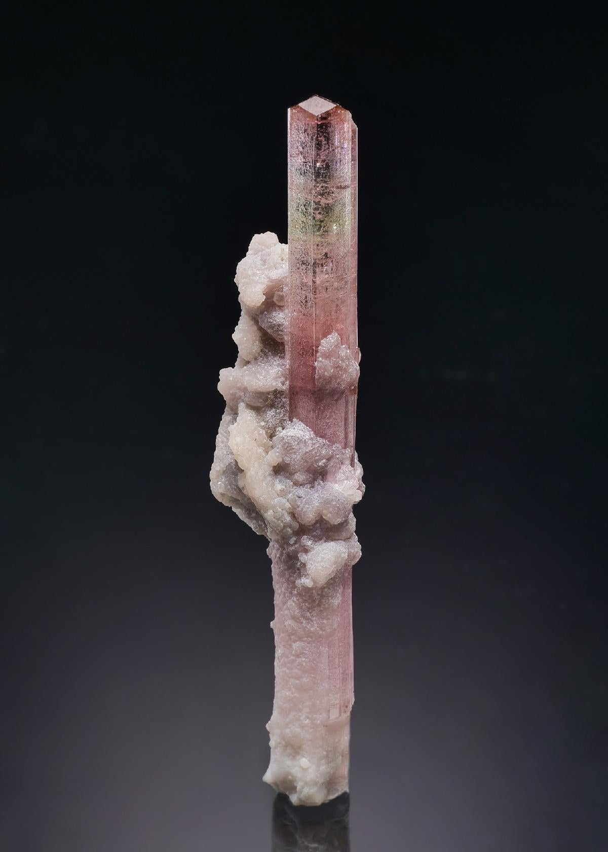 CC58871 specimen image