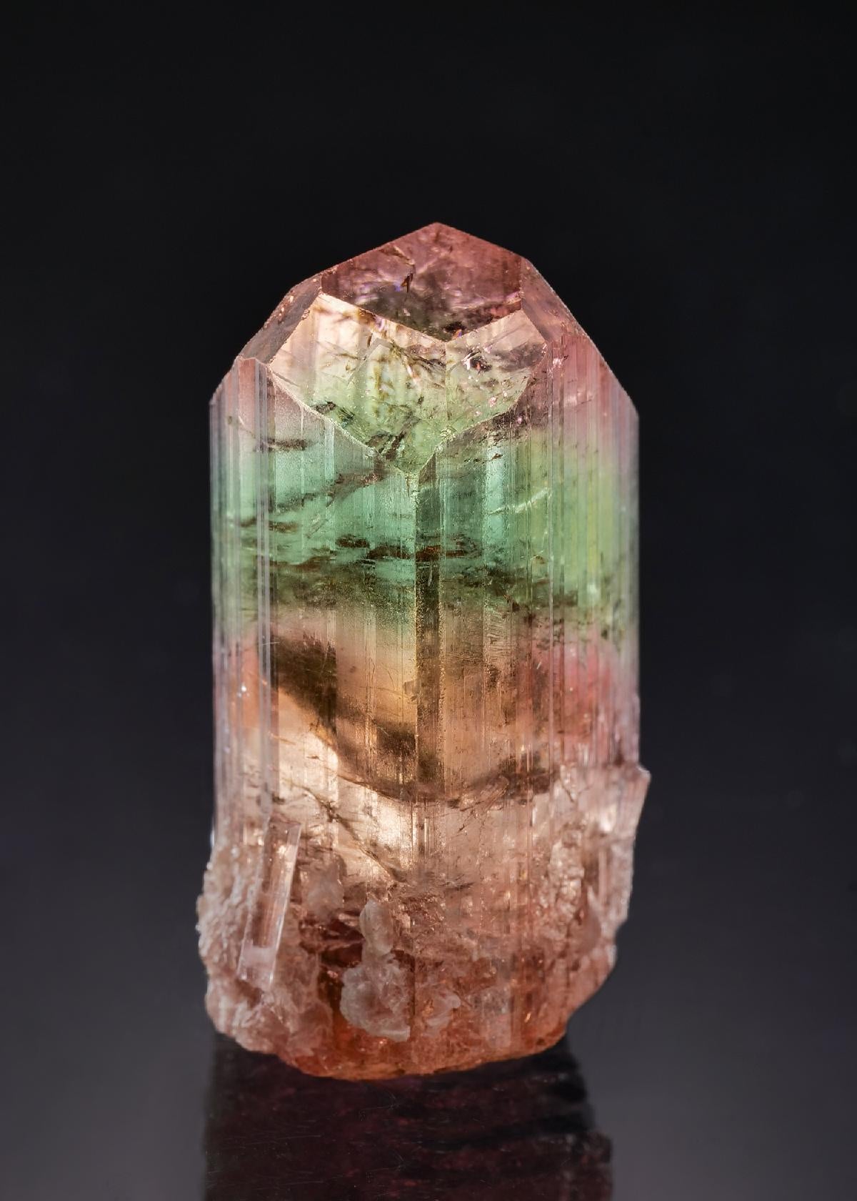 CC58874 specimen image