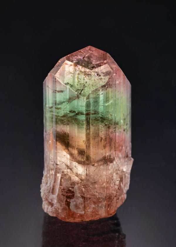CC58874 specimen image