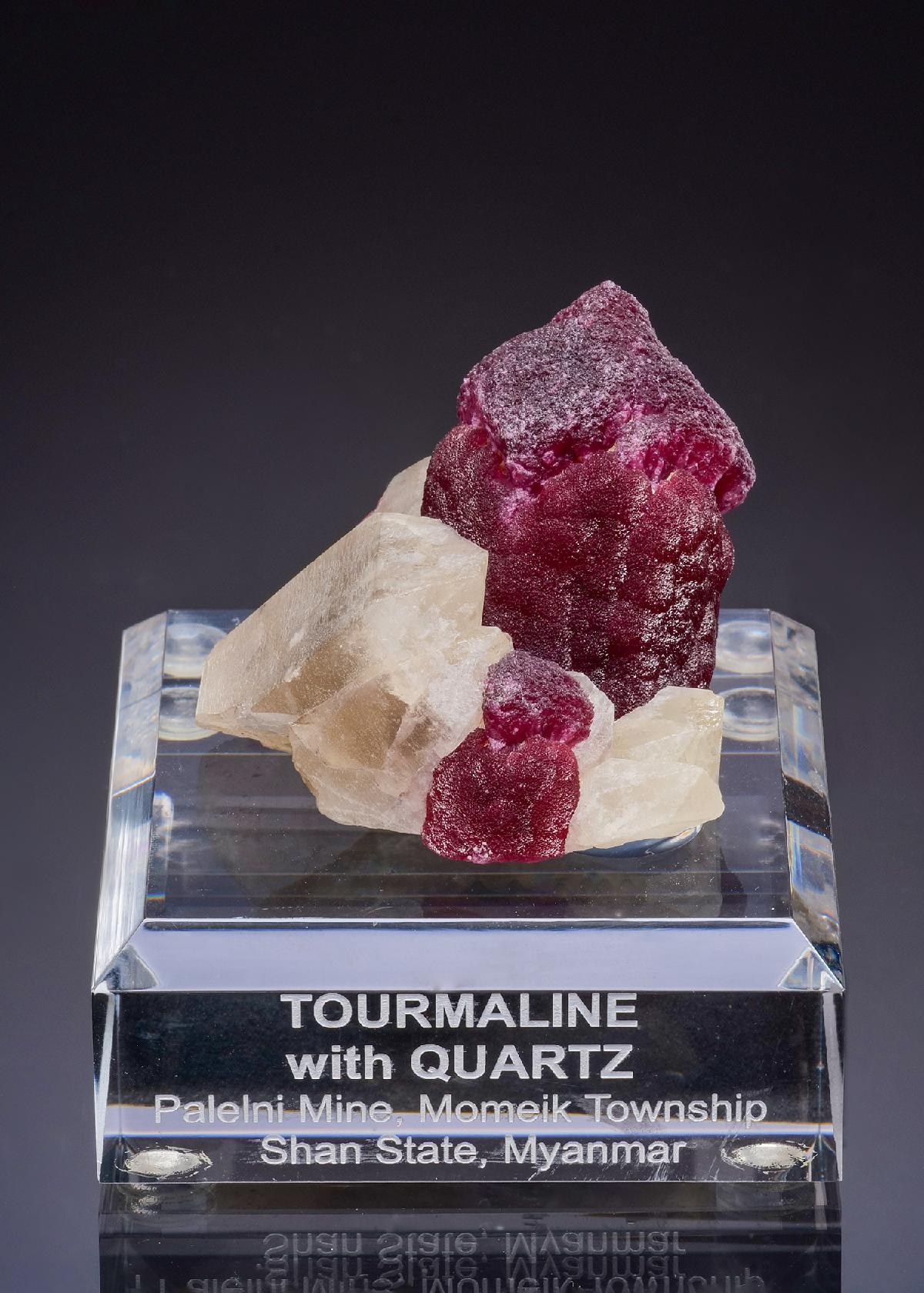 CC58883 specimen image