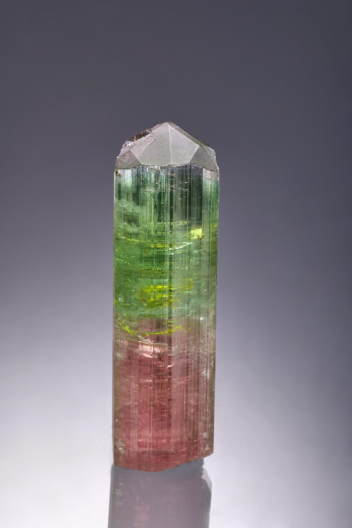 CC58889 specimen image