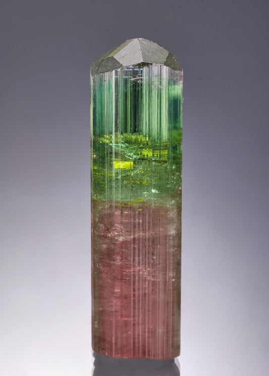 CC58895 specimen image