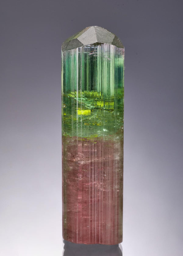 CC58895 specimen image