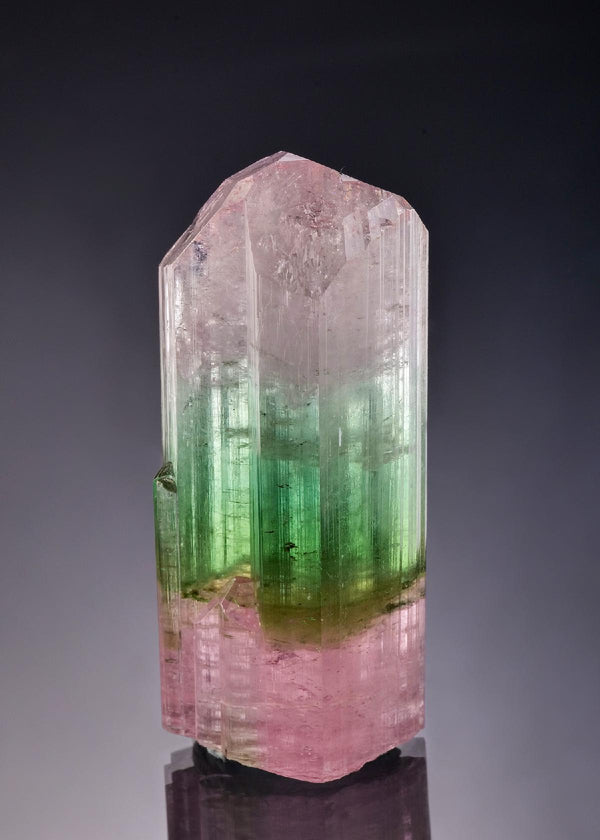 CC58898 specimen image