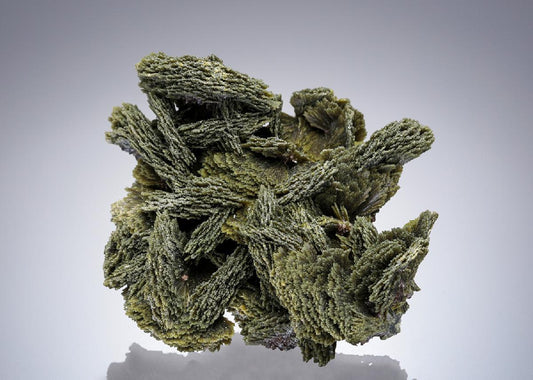 CC5902 specimen image