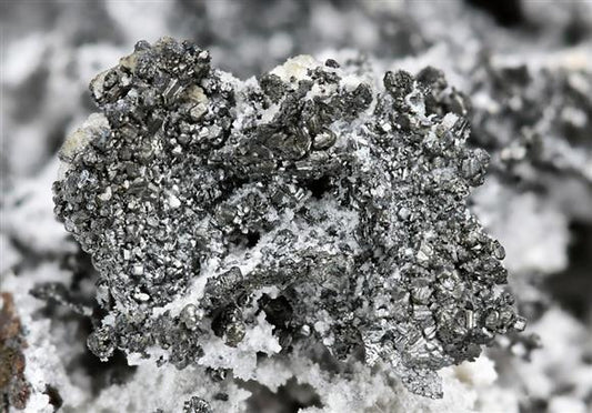 CC5911 specimen image