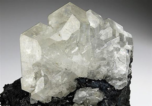 CC5923 specimen image