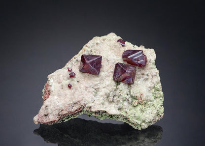 CC5931 specimen image