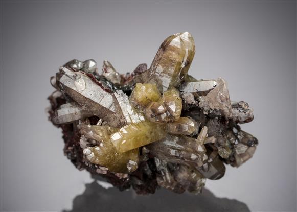CC5954 specimen image