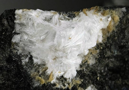 CC5956 specimen image