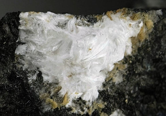 CC5956 specimen image