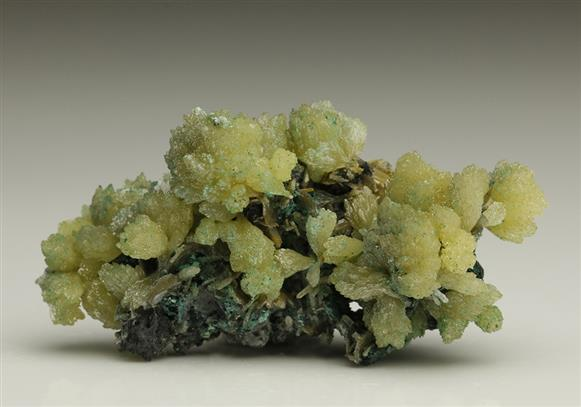 CC5957 specimen image