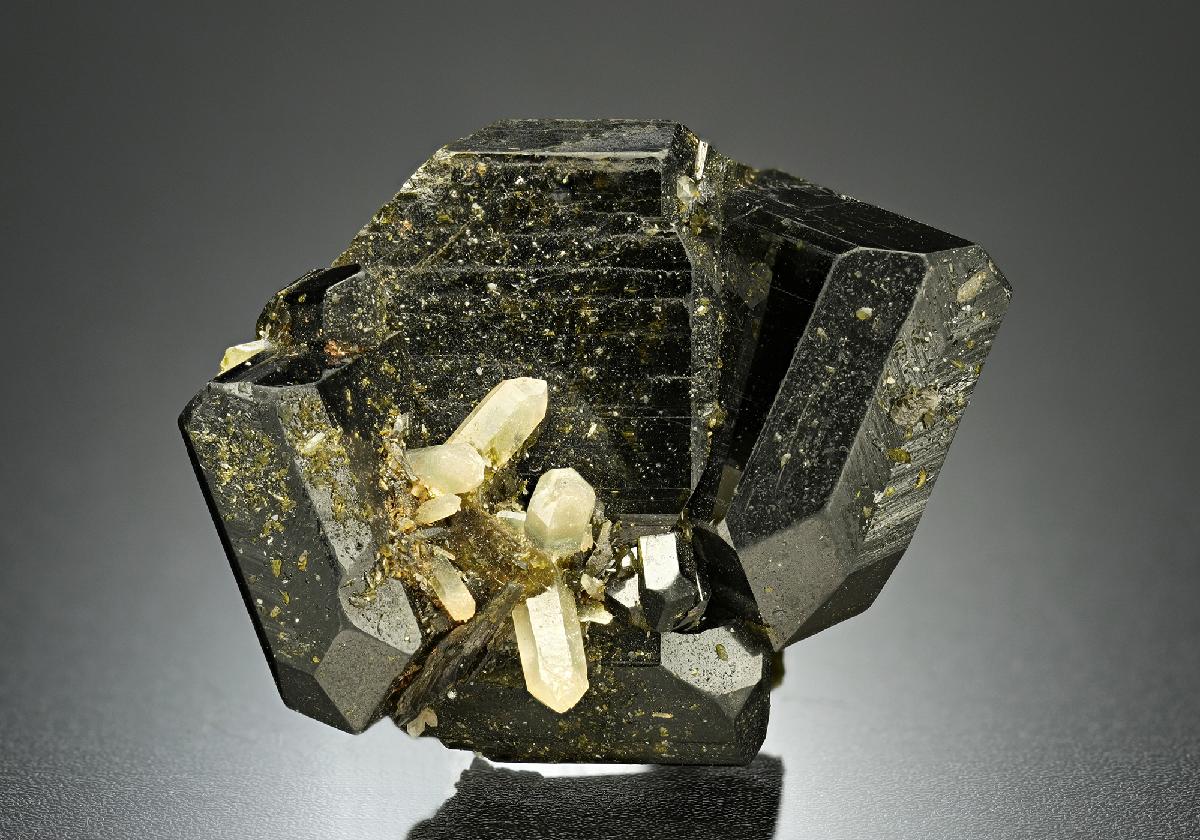 CC5961 specimen image