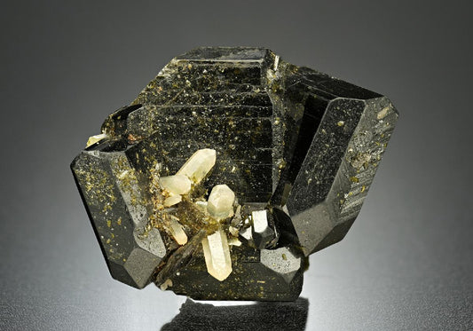 CC5961 specimen image