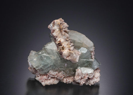 CC6019 specimen image