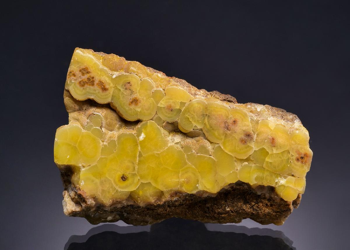 CC60201 specimen image