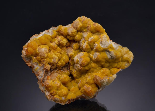 CC60204 specimen image
