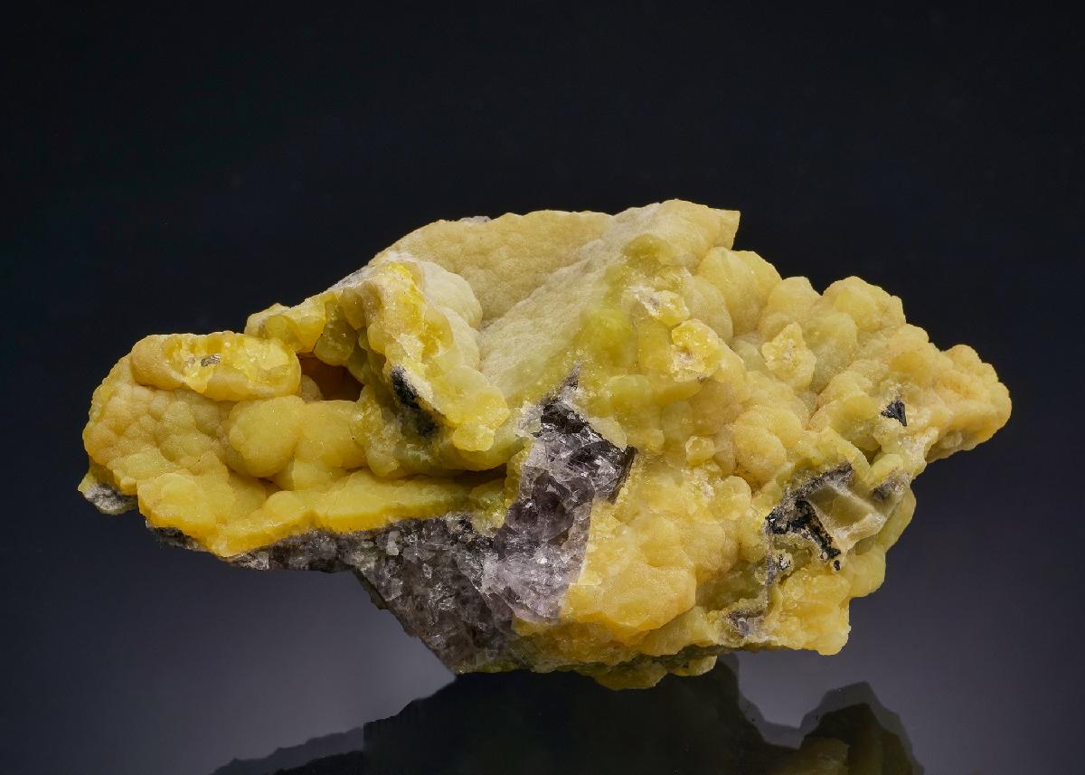 CC60210 specimen image