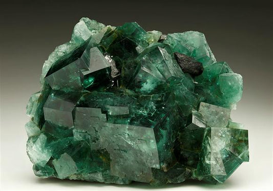 CC6033 specimen image