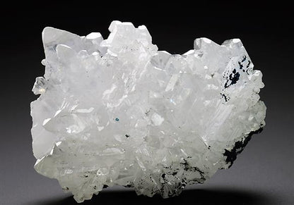 CC6072 specimen image