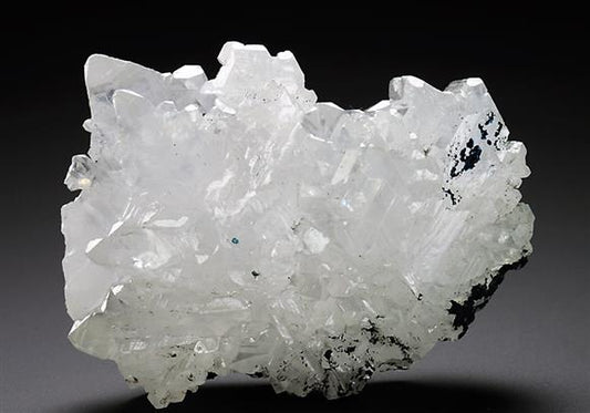 CC6072 specimen image