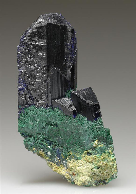 CC6085 specimen image