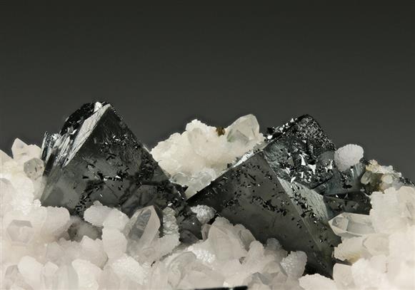 CC6090 specimen image