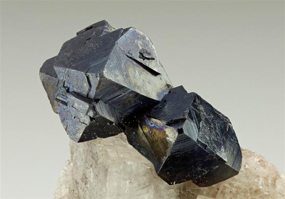 CC6137 specimen image