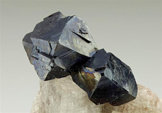 CC6137 specimen image